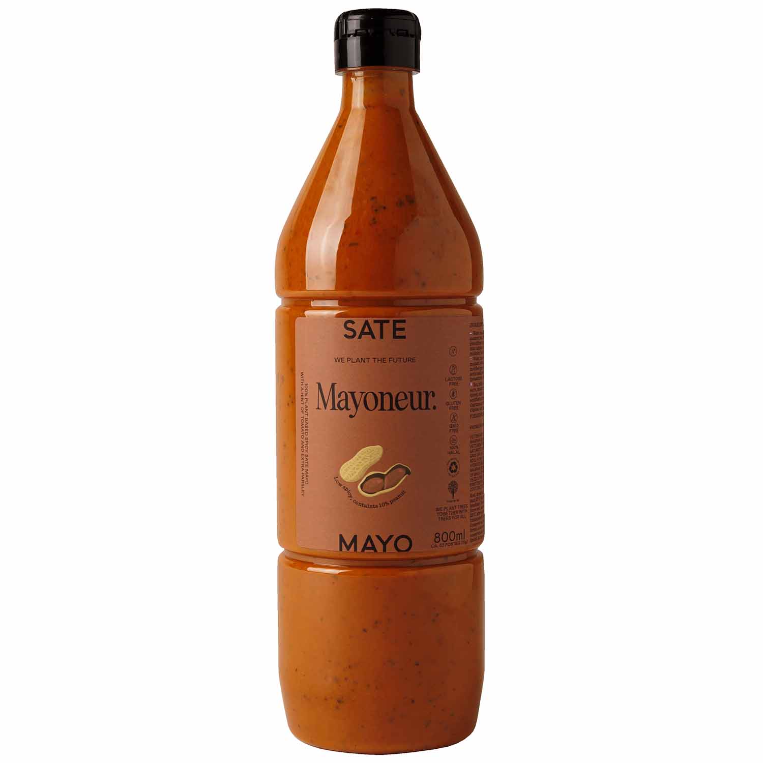 SALSA MAYONESA VEGETAL ESPECIADA CACAHUETES "SATE"