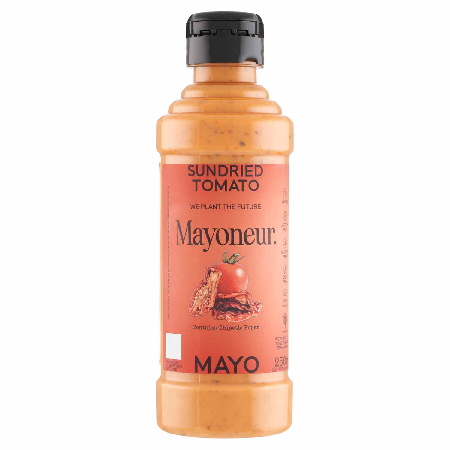 SALSA MAYONESA VEGETAL CON TOMATES SECOS